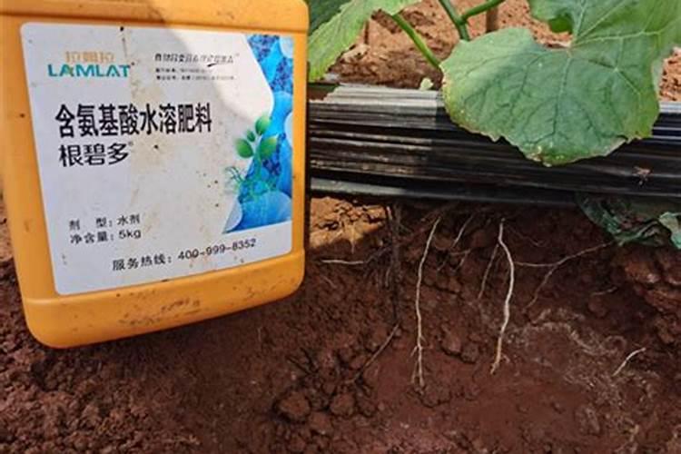 水溶肥与硫酸钾复合肥有什么区别？水溶肥常年下会影响土壤吗？