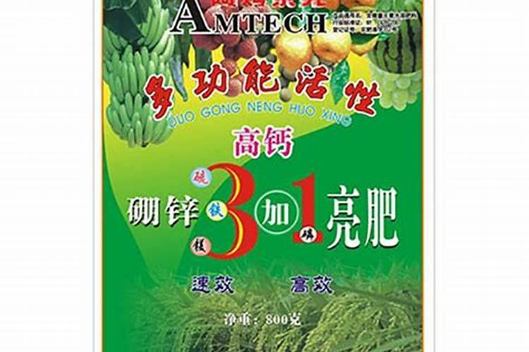 黄瓜苗期是先补磷还是先补钙