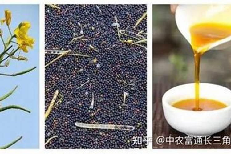 图片这种算是控释肥吗