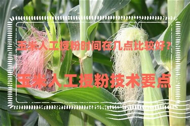 大量磷肥烧根吗,磷肥怎样使用才是正确的