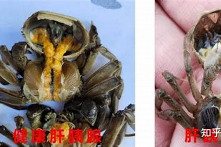 树苗移栽后多久生根 要注意些什么