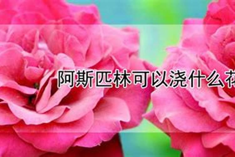 废油浇花适合哪些花
