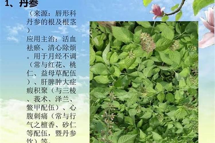 草灰种花的作用与功效草灰种花的作用是什么