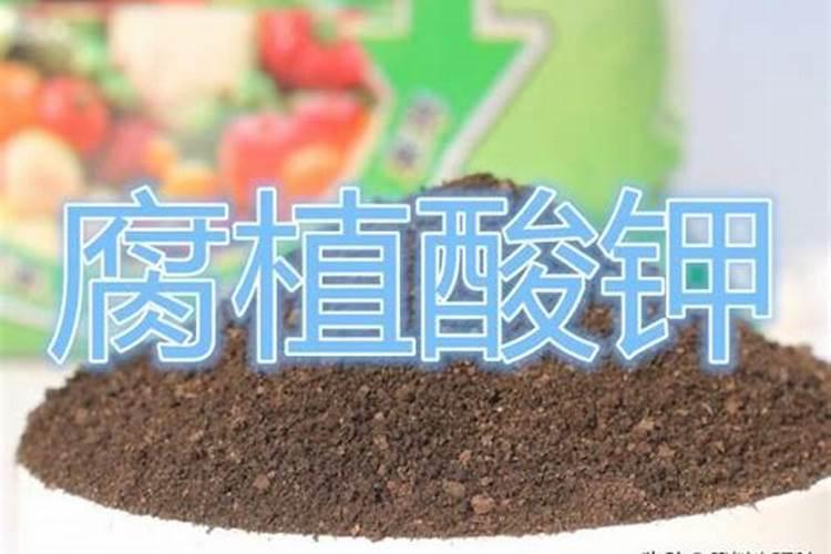 水溶肥都是什么含量