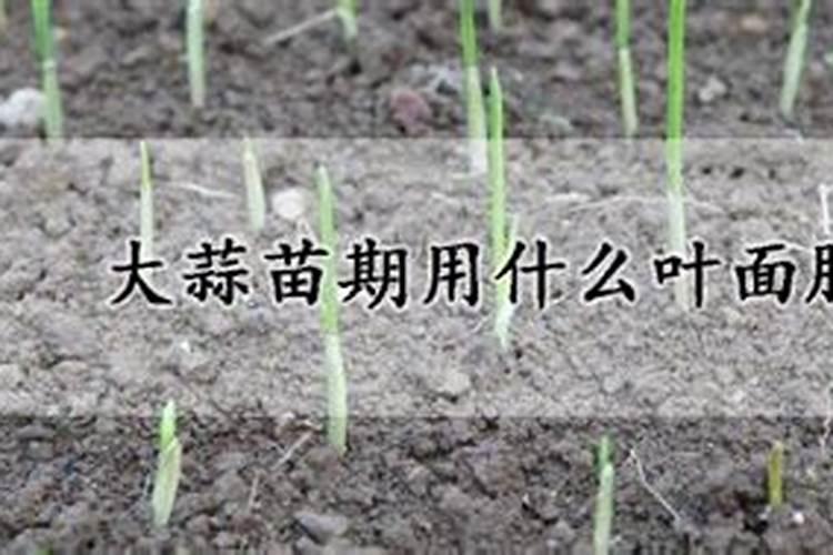 冬天果树可以施肥吗