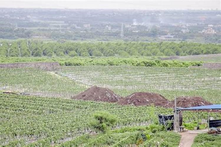 四川雅苒农业科技有限公司怎么样？