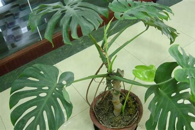 氮肥钾肥磷肥的区别