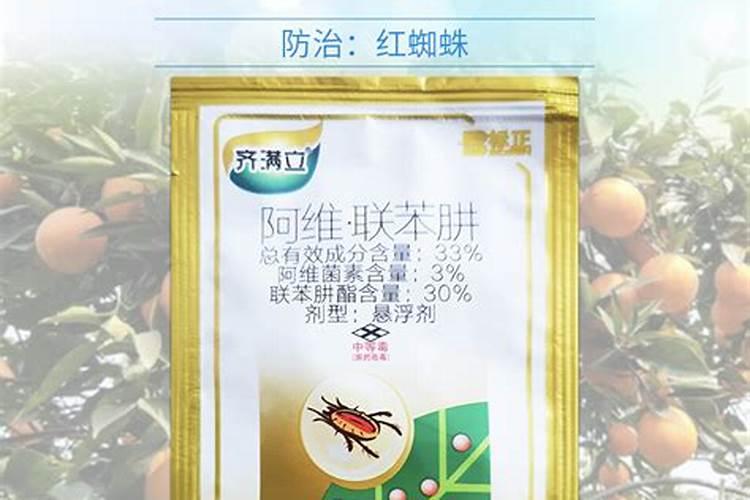 茄子的结果期是如何进行管理的？