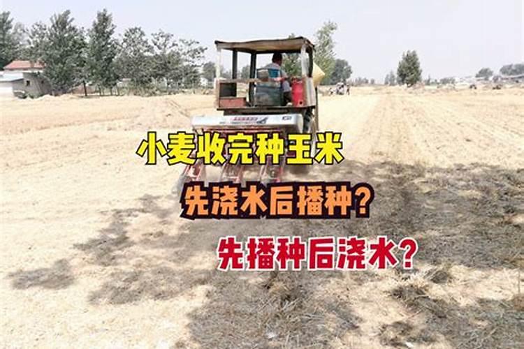 小麦干旱打什么药