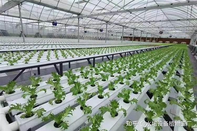 氮磷钾肥料的作用