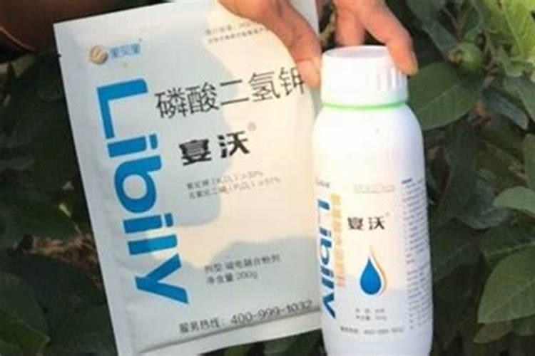 牡丹浇什么肥料合适