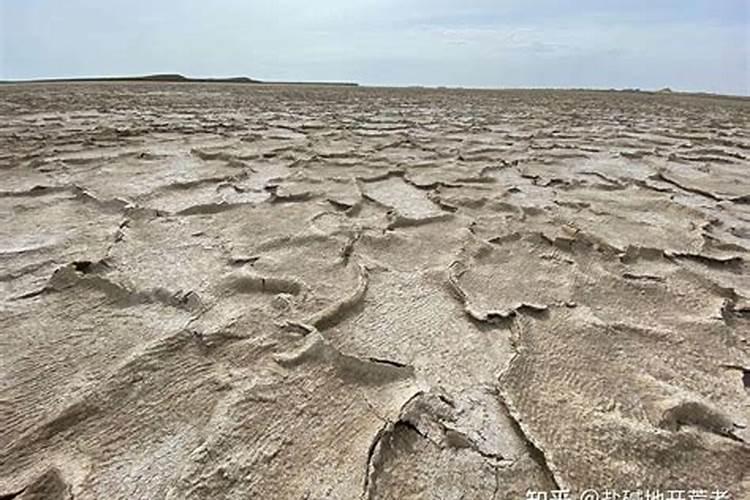 茄子叶片萎缩卷边枯黄有如火烧,这是什么病？怎么治？