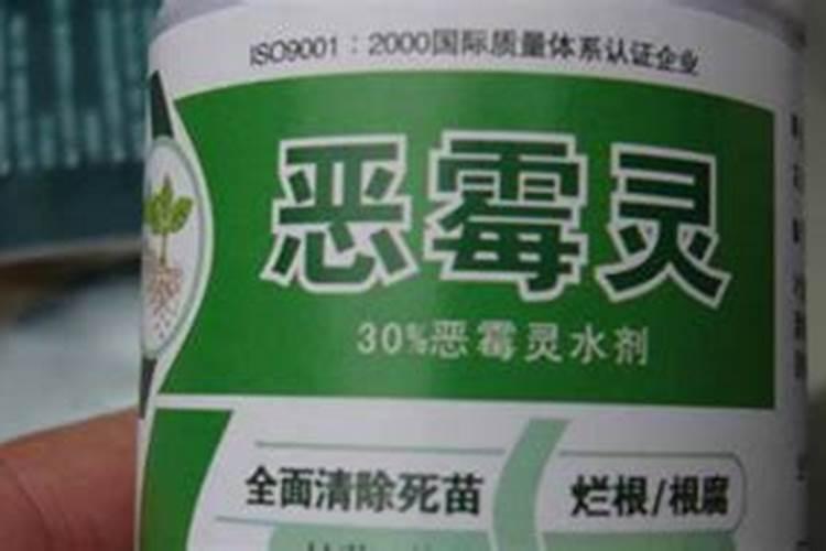 豆苗用恶霉灵魂 氨基酸水溶肥 乙蒜素,灌根,结果烧根。咋回事？