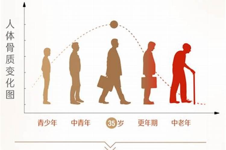 西葫芦控旺怎么样打