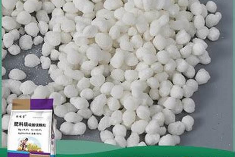 菠菜喜欢什么肥料 菠菜最喜欢什么肥料
