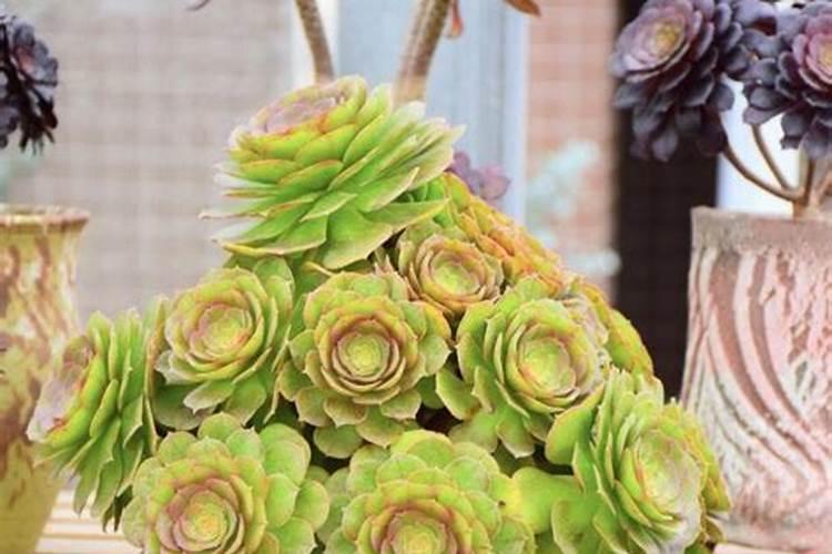 法师怎样才能爆多头
