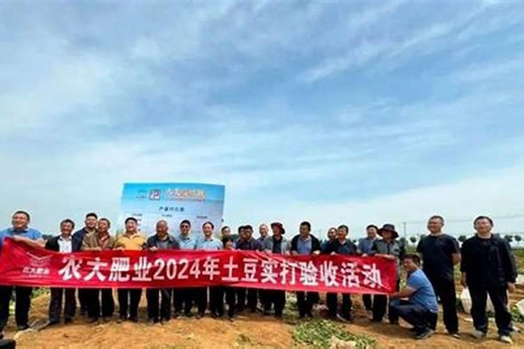 钾肥是什么肥料