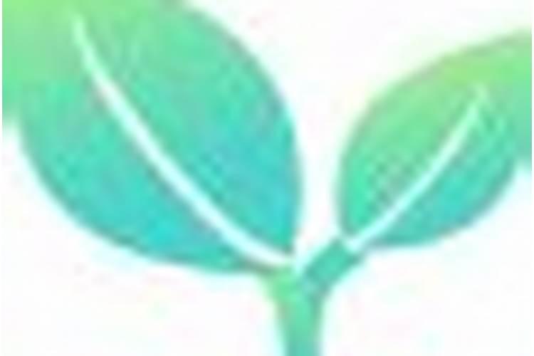 追肥来改善果实的品质,有哪些有机肥料最合适？