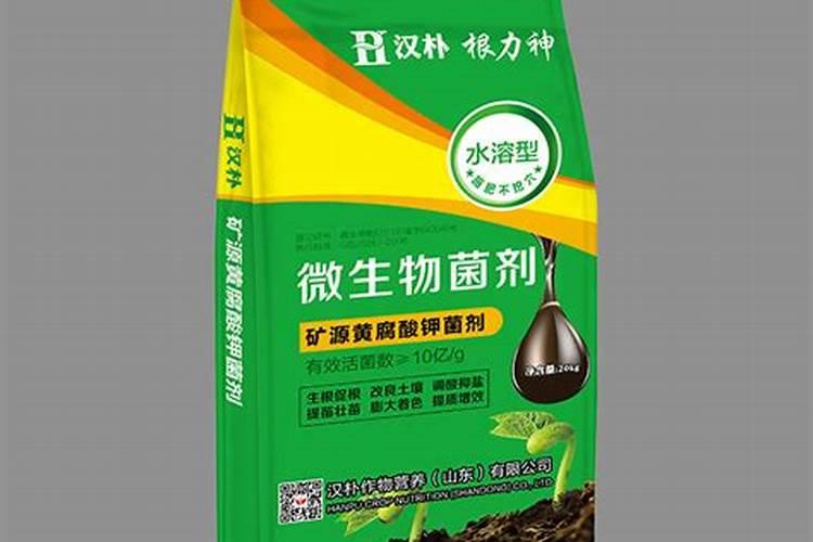 盆栽竹子怎么施肥