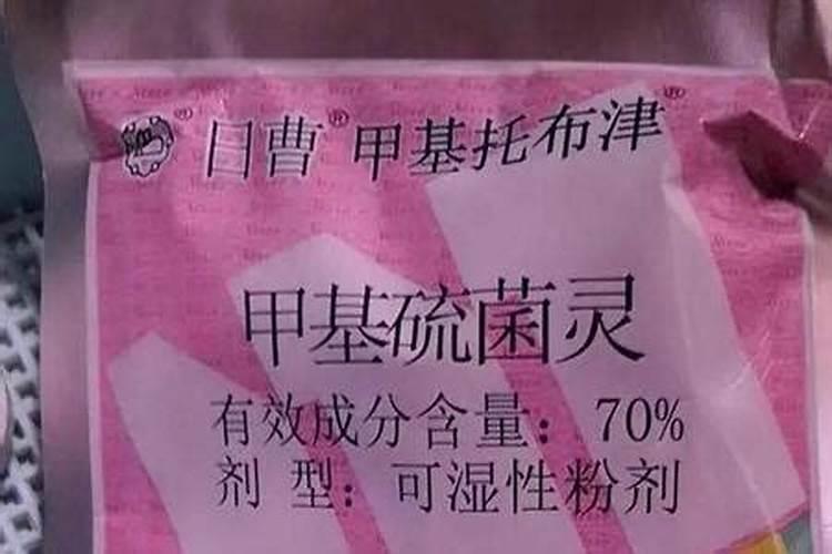 什么情况下需要喷叶面肥 绿植叶面肥施用指南