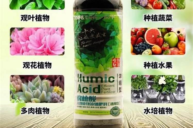 什么是腐质酸型复合肥？
