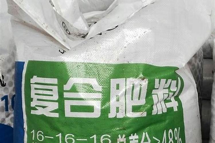 蓝莓最忌三种肥料