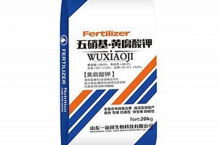 香蕉挂果后施高钾好？还是挂果前施高钾好？