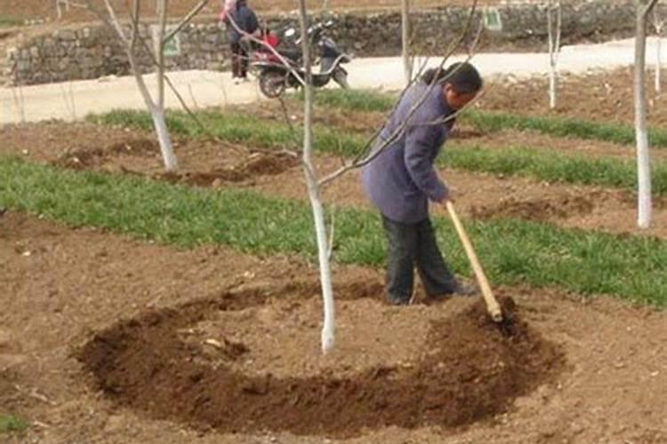 抚州金顶生物科技有限公司怎么样？