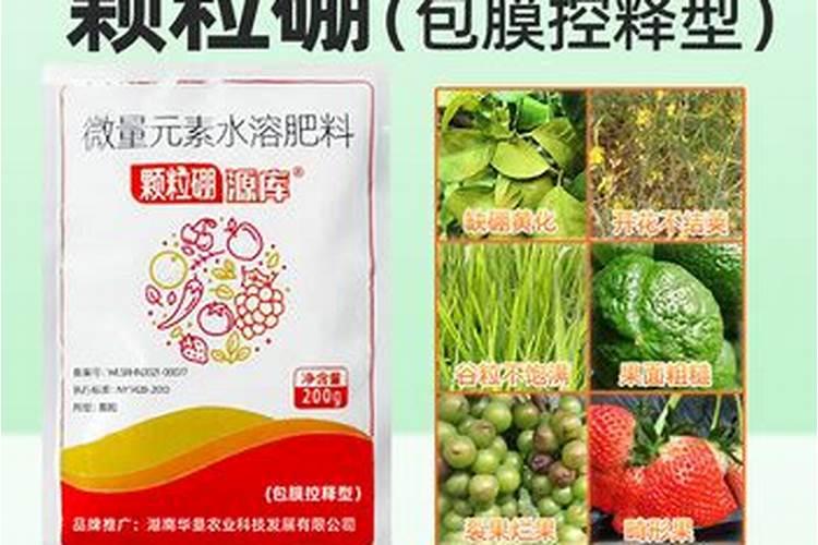 喷过硼源库的蔬菜能吃吗