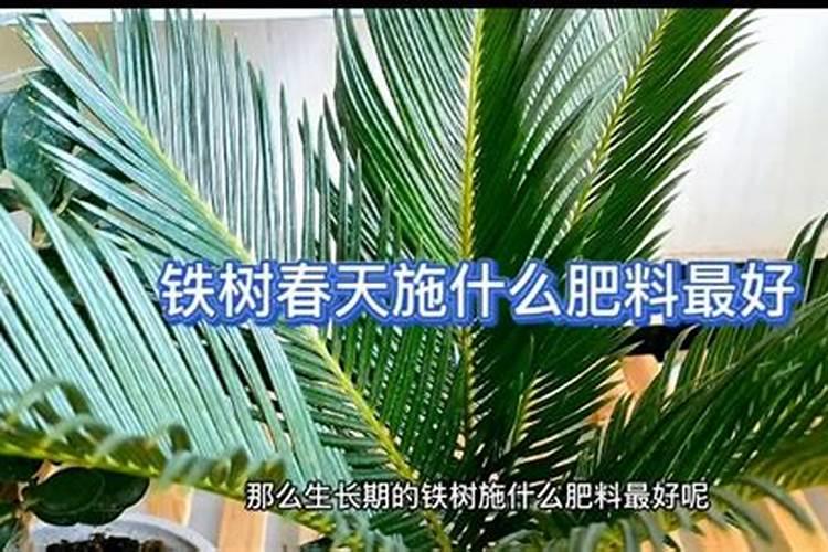 养花一般施什么肥料好、养花自制肥料的方法