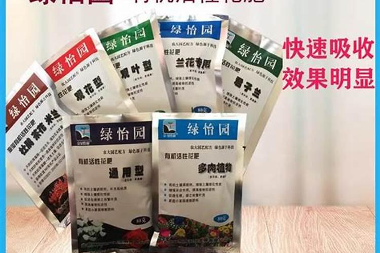金豆用兰花土好吗？