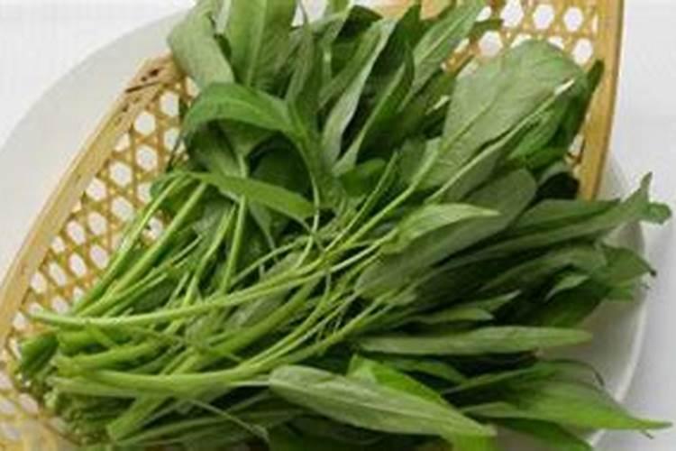 天堂鸟施肥需施什么肥料