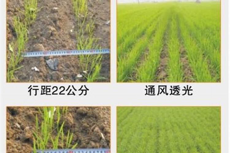 给庄稼施肥的作用主要是给植物的生长提供无机盐.