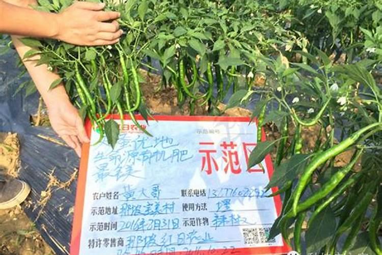 小麦追肥用硝酸磷好吗 什么时候使用效果好
