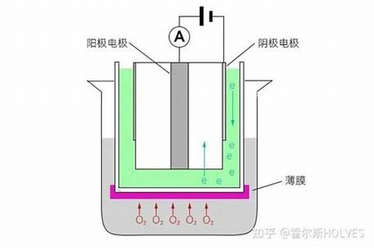 蝴蝶兰长出花苞后能提前开花的方法