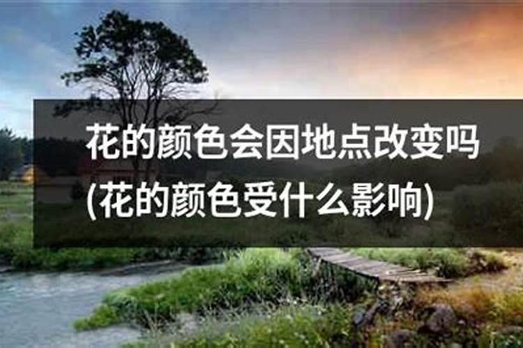 小麦叶面肥什么牌子最好