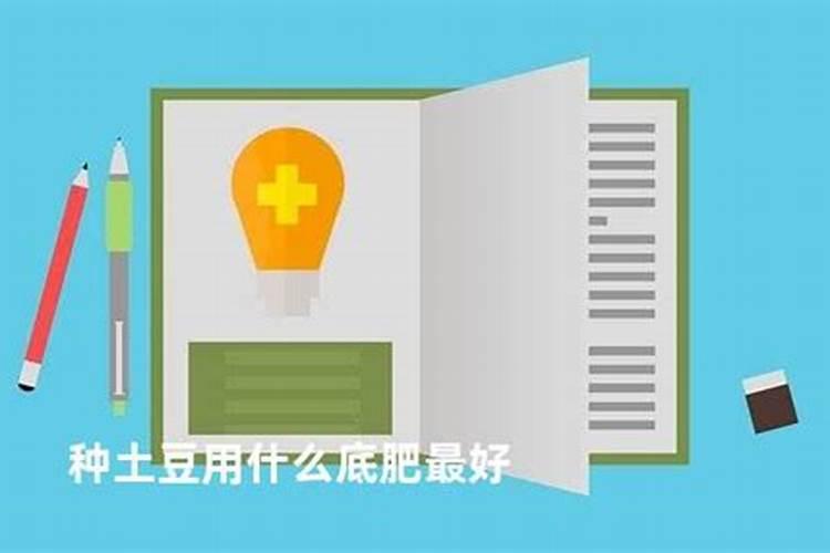 花的枯叶枯枝应不应该剪掉