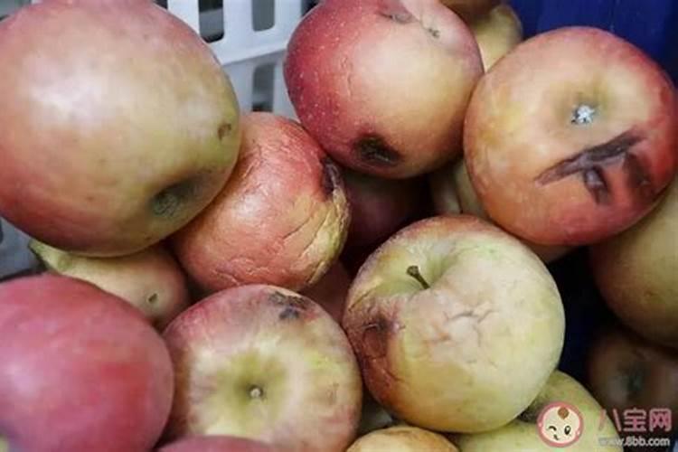 草莓根本追肥用什么肥料最好