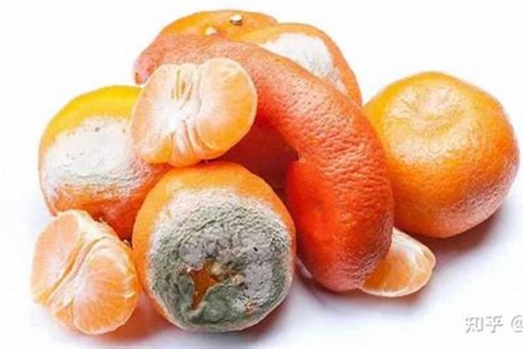 腐烂的水果可以做花肥么？