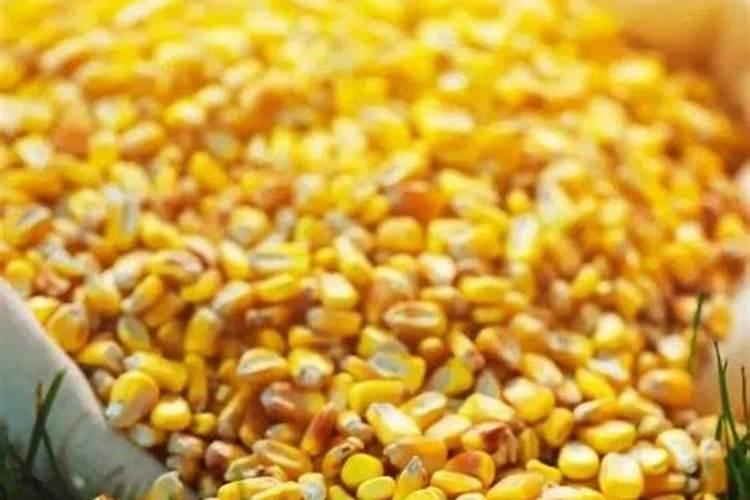 过磷酸钙和钙镁磷肥有什么区别？这两种肥料哪种更好？