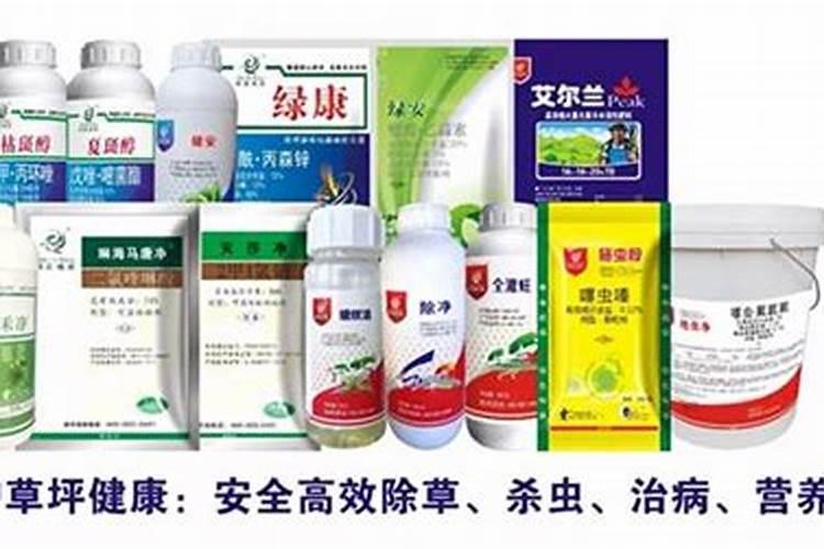 草坪白粉病如何根治