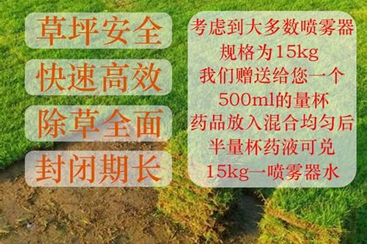 草坪杀菌打什么药