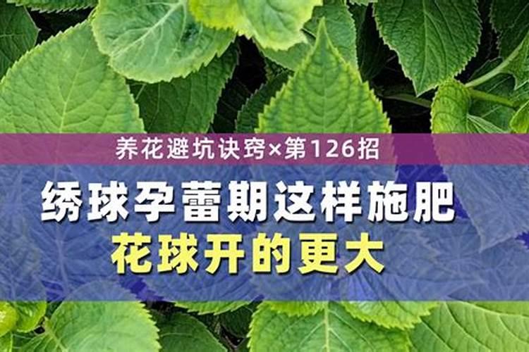 含硼的肥料有哪些