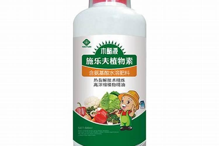 晋稻12号产量表现