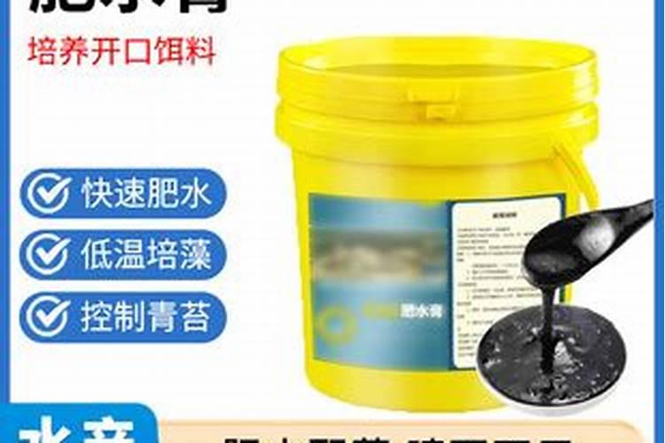 凤仙花小苗低下头了怎么办