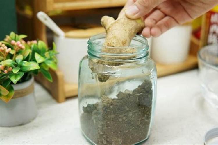 水溶肥知名品牌有哪些？
