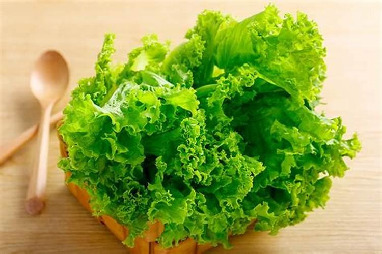 甘蓝为何会发生缺钙问题？还有补救措施吗？
