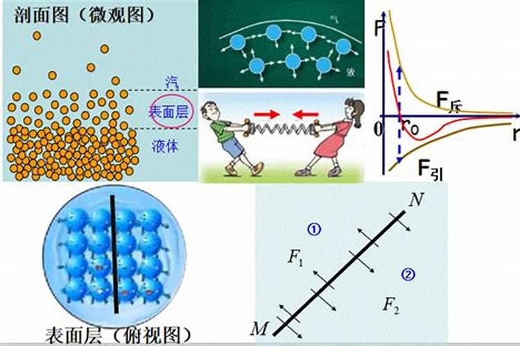 佛山市美心生物科技有限公司怎么样