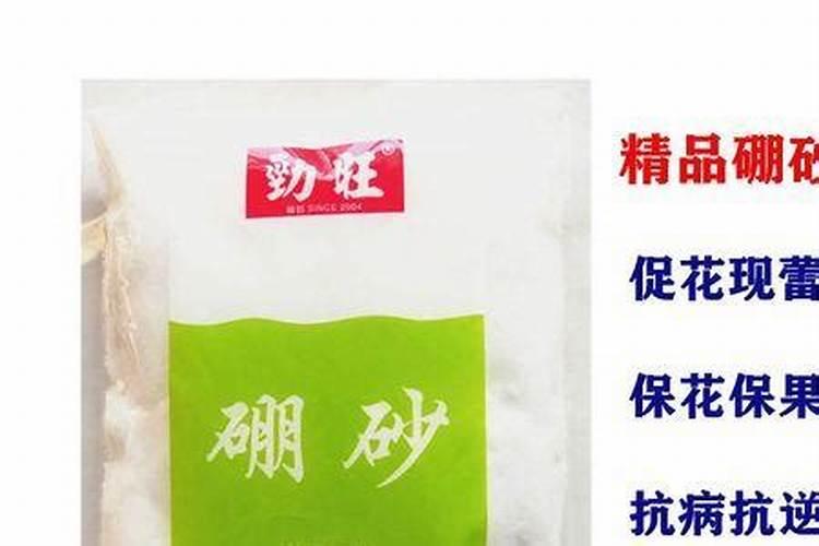 刚种的花种子需要天天浇水吗