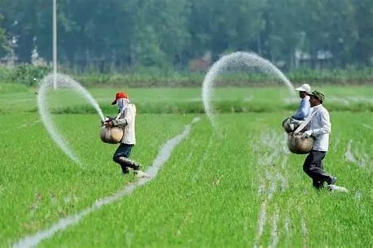 番茄转色期可以用202020的水溶肥吗？